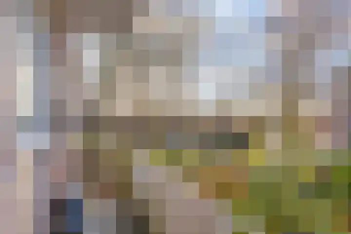 Planciusplein 20 B Breda thumbnail 32