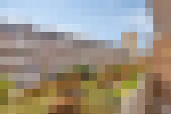 Planciusplein 20 B Breda thumbnail 33