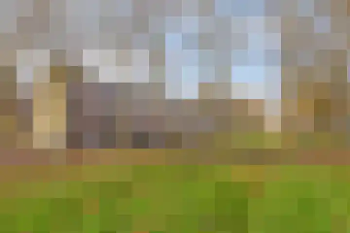 Planciusplein 20 B Breda thumbnail 35