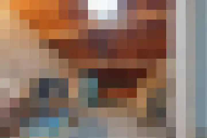 Planciusplein 20 B Breda thumbnail 37