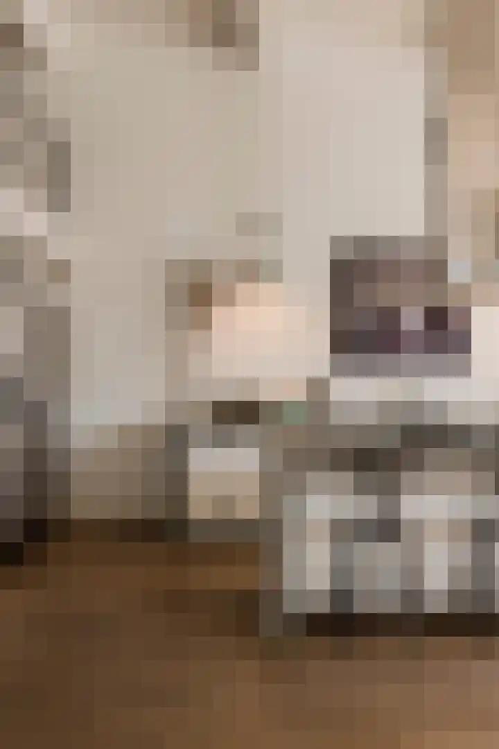 Planciusstraat 17 E Amsterdam thumbnail 23