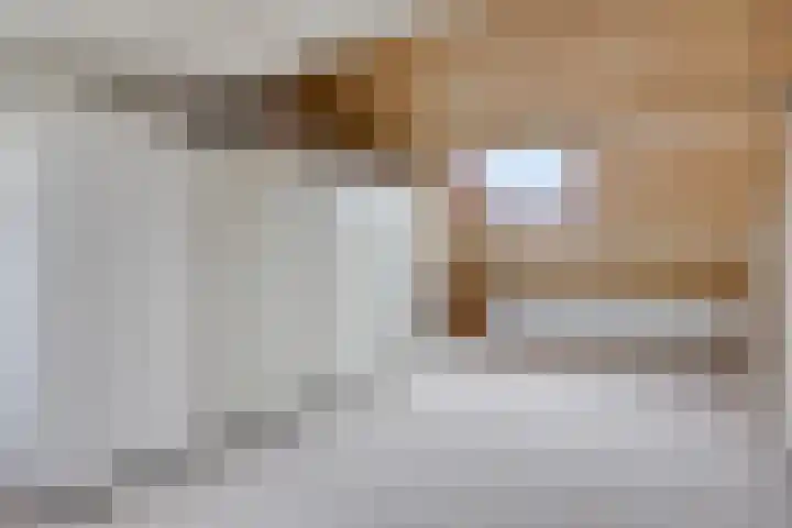 Planetenbaan 1 IJsselstein thumbnail 20
