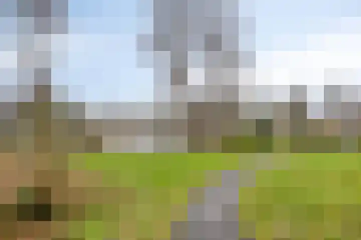 Planetenbaan 1 IJsselstein thumbnail 26