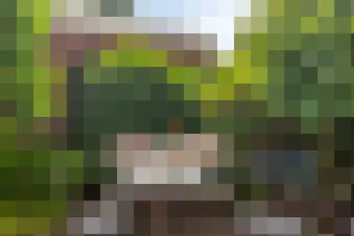 Planetenbaan 663 Bilthoven thumbnail 20