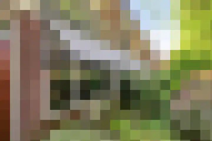 Planetenbaan 663 Bilthoven thumbnail 22
