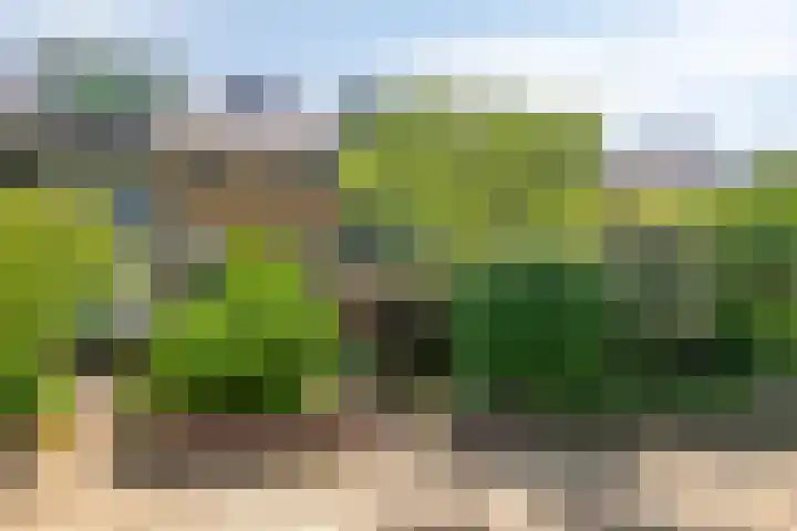 Planetenbaan 663 Bilthoven thumbnail 25