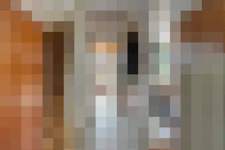 Planetenbaan 663 Bilthoven thumbnail 6