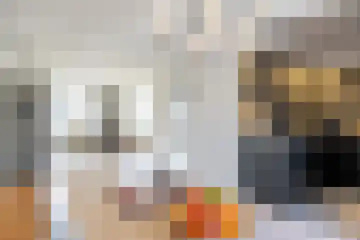 Planetenlaan 21 Assen thumbnail 24
