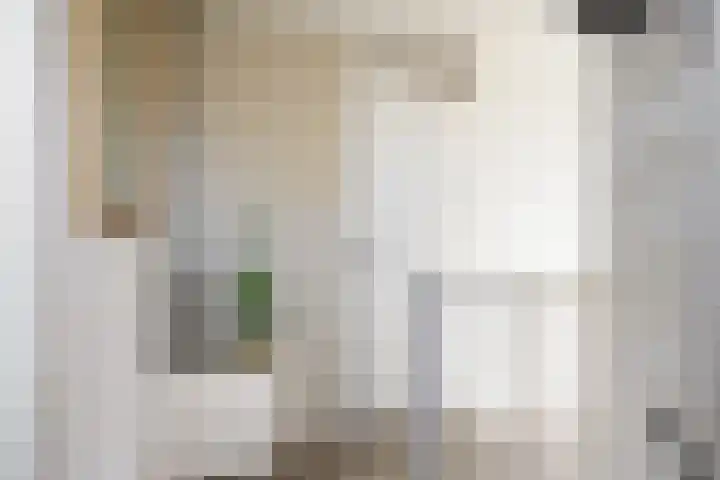 Planetenlaan 21 Assen thumbnail 33