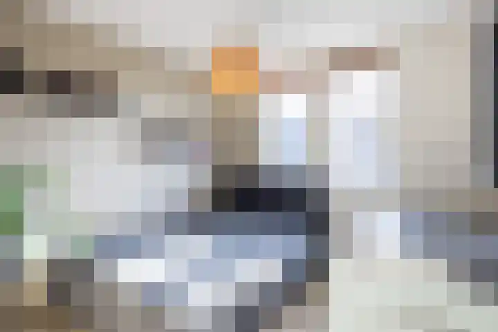 Planetenlaan 21 Assen thumbnail 38