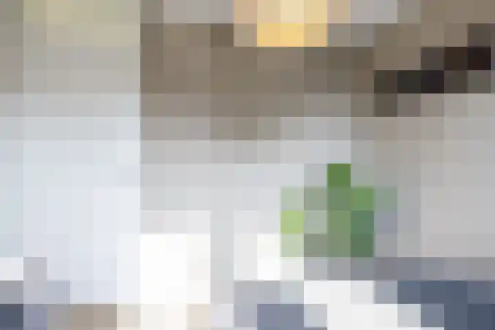Planetenlaan 21 Assen thumbnail 39