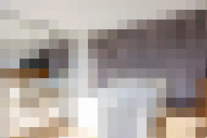 Planetenlaan 21 Assen thumbnail 5