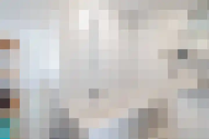 Plantage 147 Utrecht thumbnail 29