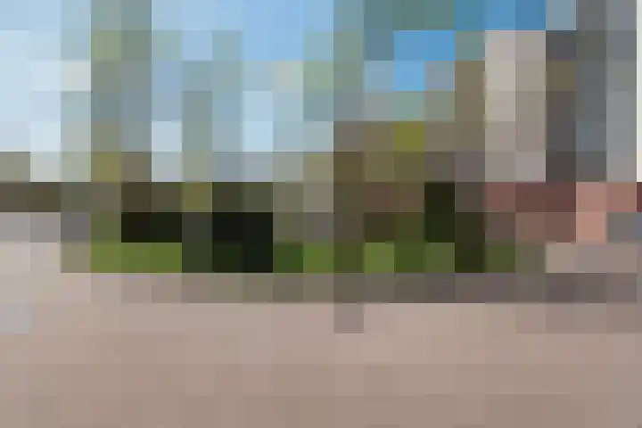 Plantage 147 Utrecht thumbnail 6