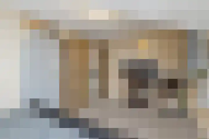 Plantage 23 Blokker thumbnail 36