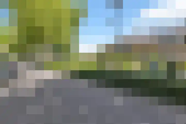 Plantage 23 Blokker thumbnail 4