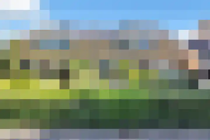 Plantage 23 Blokker thumbnail 5