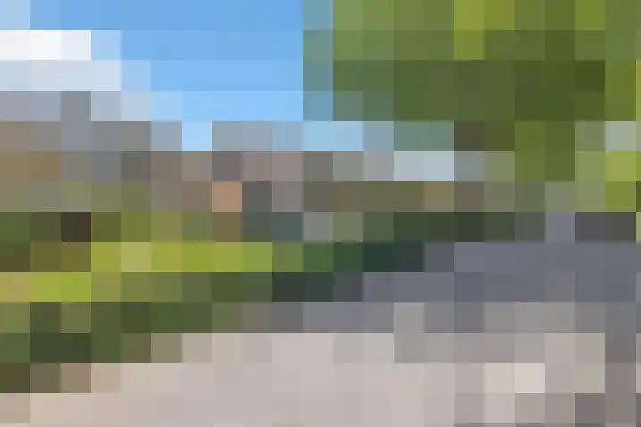 Plantage 23 Blokker thumbnail 6