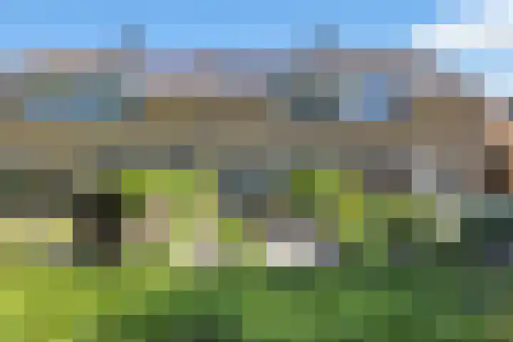 Plantage 23 Blokker thumbnail 7