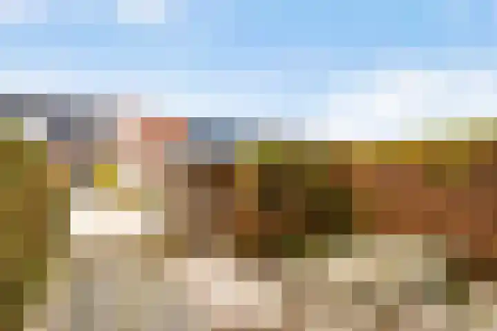 Plantage 23 Lelystad thumbnail 25