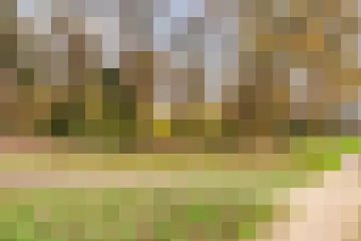Plantage 23 Lelystad thumbnail 30