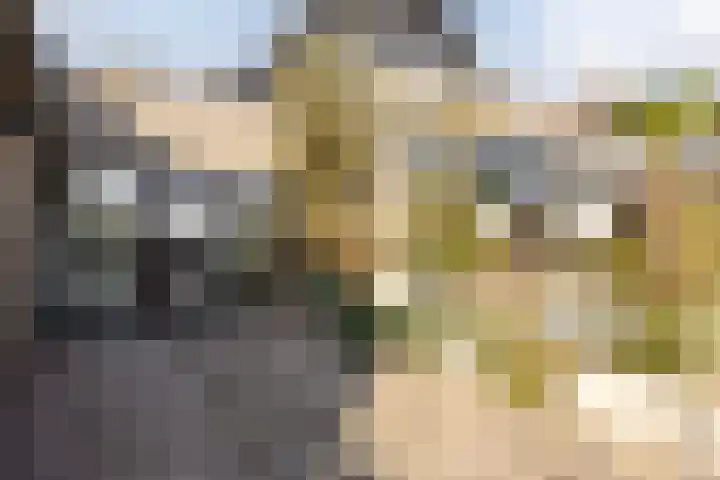 Plantage 27 Oude Wetering thumbnail 24