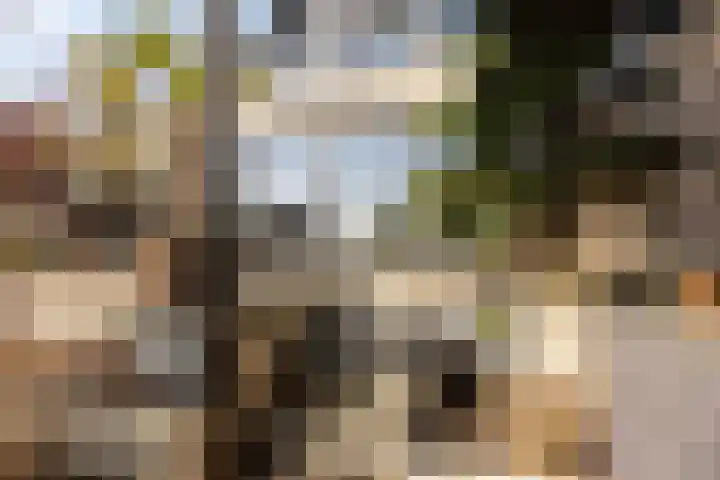 Plantage 27 Oude Wetering thumbnail 26