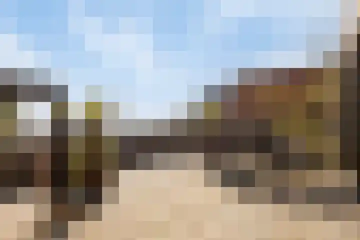Plantage 27 Oude Wetering thumbnail 28