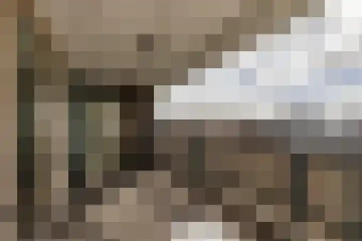 Plantagekade 32 Amsterdam thumbnail 10
