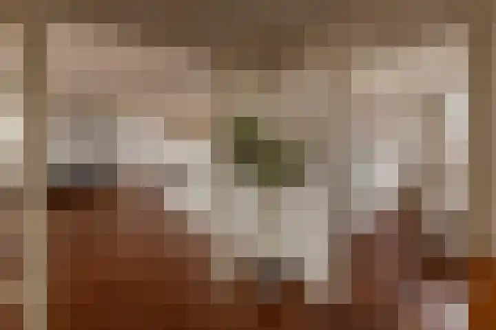 Plantagekade 32 Amsterdam thumbnail 16
