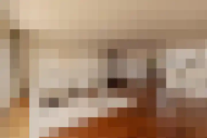 Plantagekade 32 Amsterdam thumbnail 18