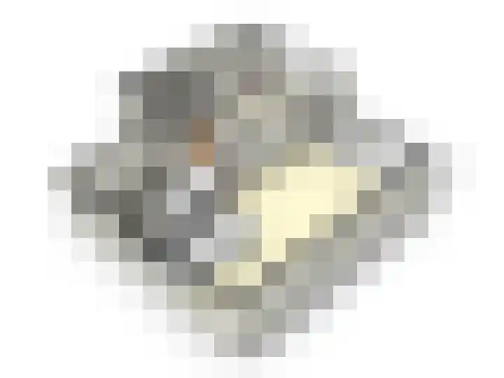 Plantagekade 32 Amsterdam thumbnail 47