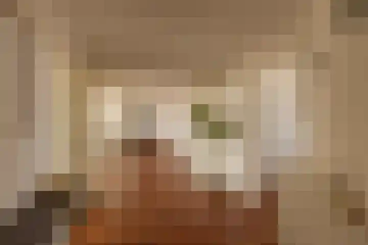 Plantagekade 32 Amsterdam thumbnail 5