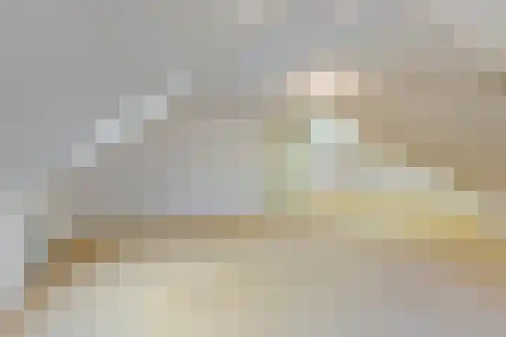 Plantersgraaf 9 Warmenhuizen thumbnail 29