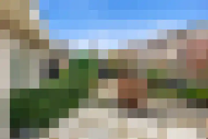 Plantersgraaf 9 Warmenhuizen thumbnail 39
