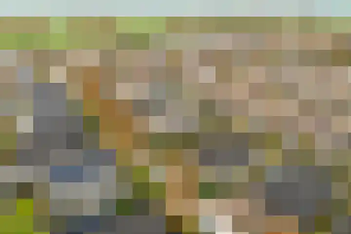 Plantersgraaf 9 Warmenhuizen thumbnail 40