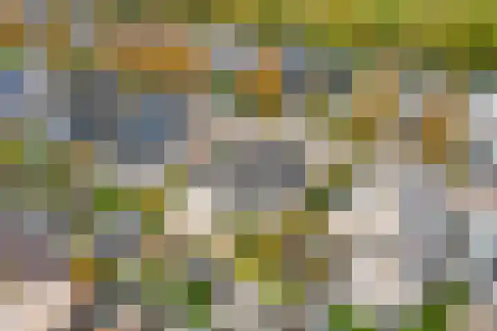 Plantersgraaf 9 Warmenhuizen thumbnail 41