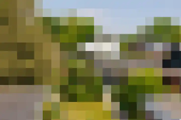 Planterslaan 48 Leersum thumbnail 21