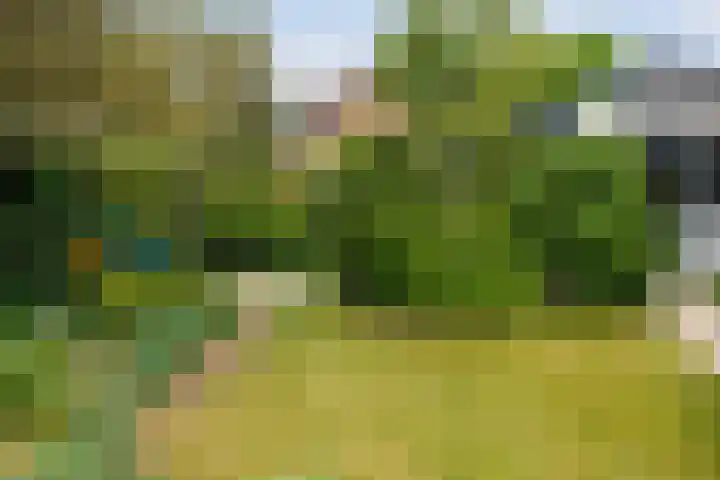 Planterslaan 48 Leersum thumbnail 31