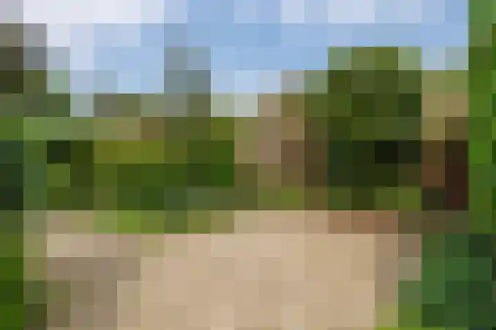 Planterslaan 48 Leersum thumbnail 32