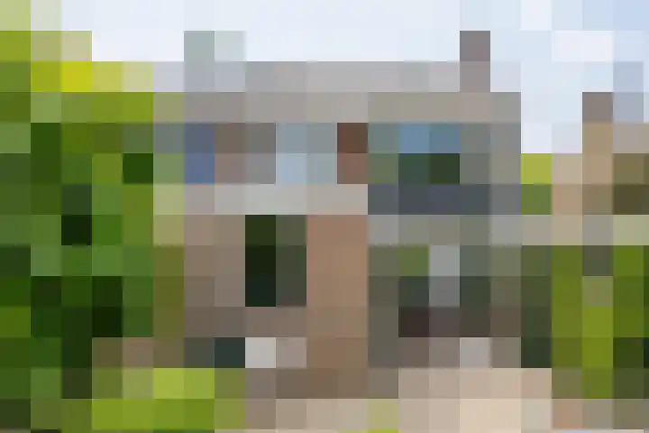 Planterslaan 48 Leersum thumbnail 36