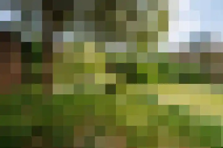 Planterslaan 48 Leersum thumbnail 4