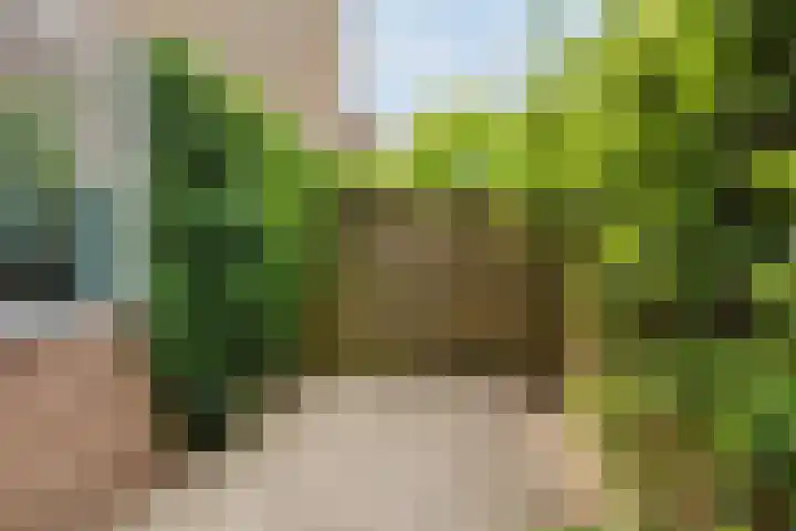 Planterslaan 48 Leersum thumbnail 41