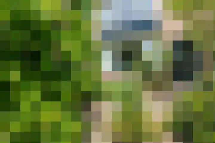Planterslaan 48 Leersum thumbnail 46