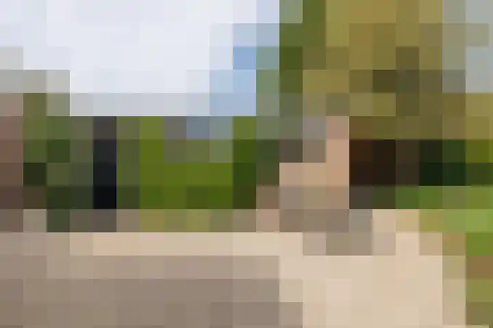 Planterslaan 48 Leersum thumbnail 49