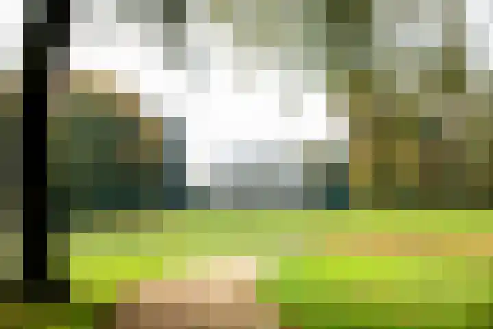 Planterslaan 48 Leersum thumbnail 52