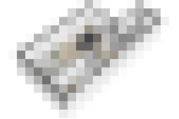 Planterslaan 48 Leersum thumbnail 55