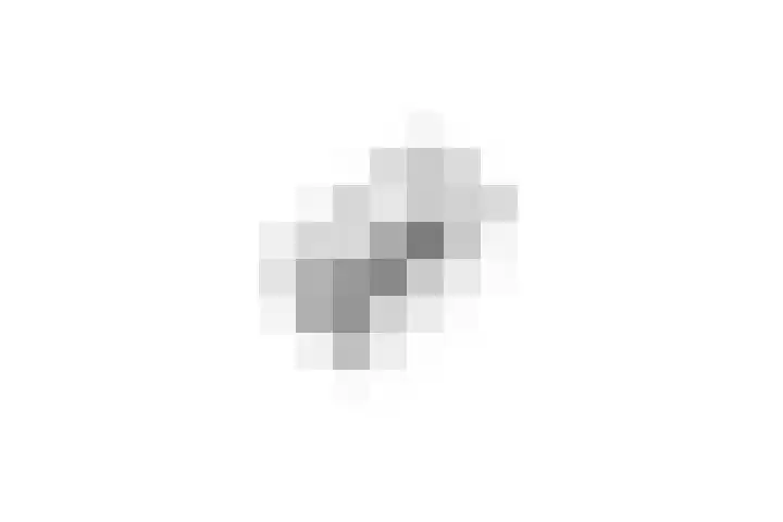 Planterslaan 48 Leersum thumbnail 57