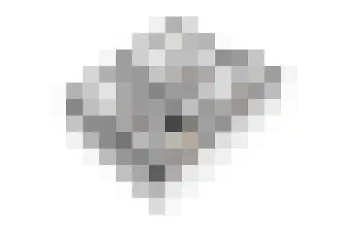 Planterslaan 48 Leersum thumbnail 61