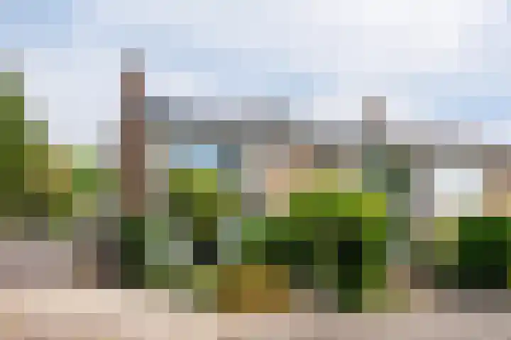 Planterslaan 48 Leersum thumbnail 69